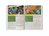The Lost Book of Herbal Remedies II – Plant Identification & Herbal Reference Guide Book